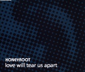 Love Will Tear Us Apart - Single