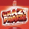 Crazy Praise, Vol. 2 - Songs from the Lighter Side, 2000