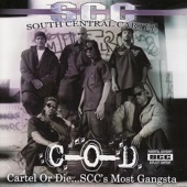 South Central Cartel - All Day Everyday
