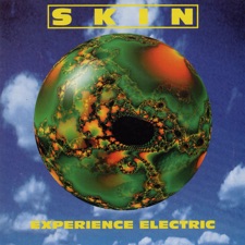 Skin - The Only One