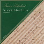 Streichtrio B Dur, D. 581: II. Andante artwork