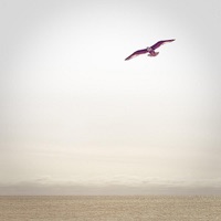 Phillip Wilkerson - Saturday