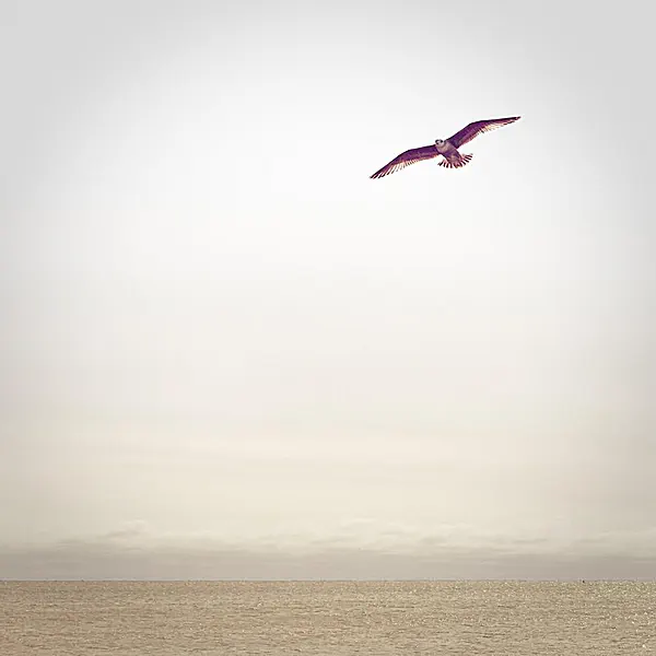 Saturday — Phillip Wilkerson