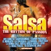 Lessons In Love (Salsa Version)