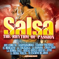 Hotel Buenavida - Lessons In Love (Salsa Version)