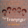 The Trammps - Disco Inferno (Rerecorded) kunstwerk