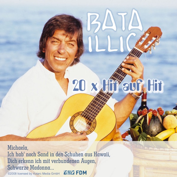 20 X Hit auf Hit artwork