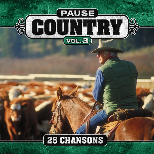 Pause Country (Vol. 3)