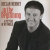 Declan Nerney - Picture of My World