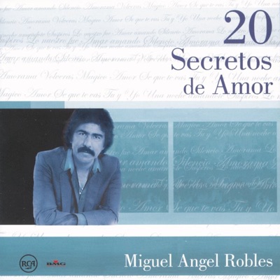20 Secretos de Amor: Miguel Angel Robles