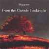 Shygone - From the Outside Looking In