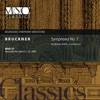 Andreas Delfs & Milwaukee Symphony Orchestra - Symphony No. 7 in E Major, WAB 107: IV. Finale