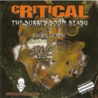 Rubber Room Diary - Critical