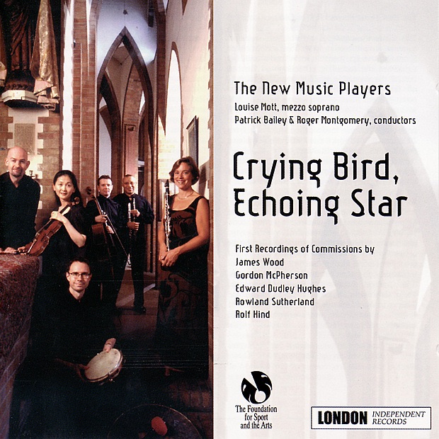 Обложка альбома «Crying Bird, Echoing Star» — The New Music Players