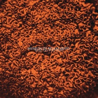 Museum of Bellas Artes - Who Do You Love