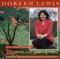 Dwi'n Dy Golli Di Ddim - Doreen Lewis lyrics