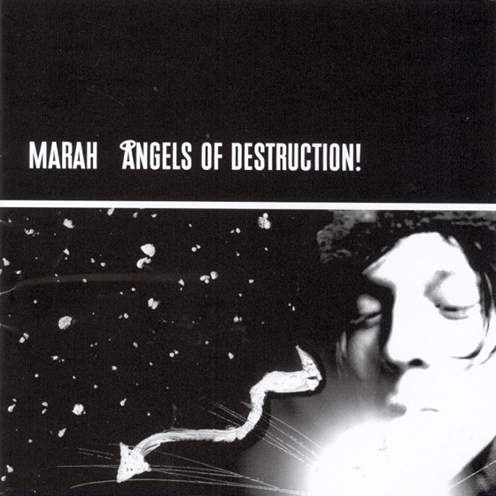 Cover artwork for Angels On a Passing Train