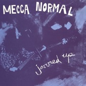 He Didn't Say by Mecca Normal