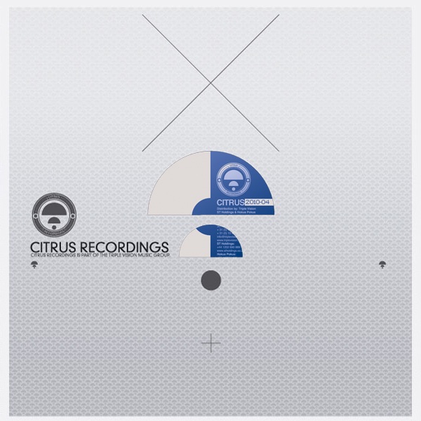 Zebra Crossing - Single