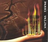 Parni Valjak - Maloj Ptici S Juga