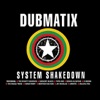 System Shakedown, 2010