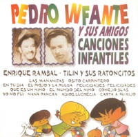 Conejo blas