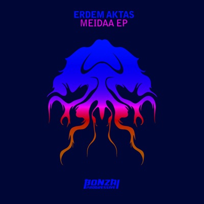 Meidaa