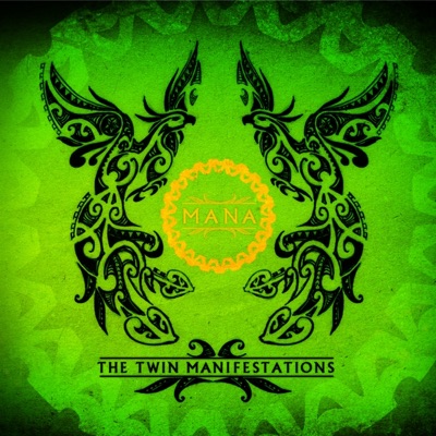 The Twin Manifestations
