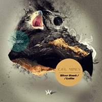 Lolita / Silver Hawk - Single - Carl Nunes