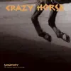 Look At All The Things (Album Version)