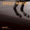You Won't Miss Me (Album Version) - Crazy Horse lyrics