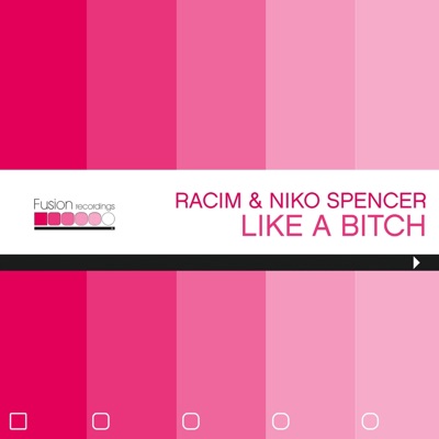 Like A Bitch (Dee Nice Remix). Racim & Niko Spencer