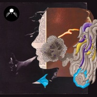 La Fin de la vie, le Début de la survivance