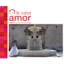 Afro Cuban Social Club Presents: la Casa Amor (Cuba's Greatest Love Songs)