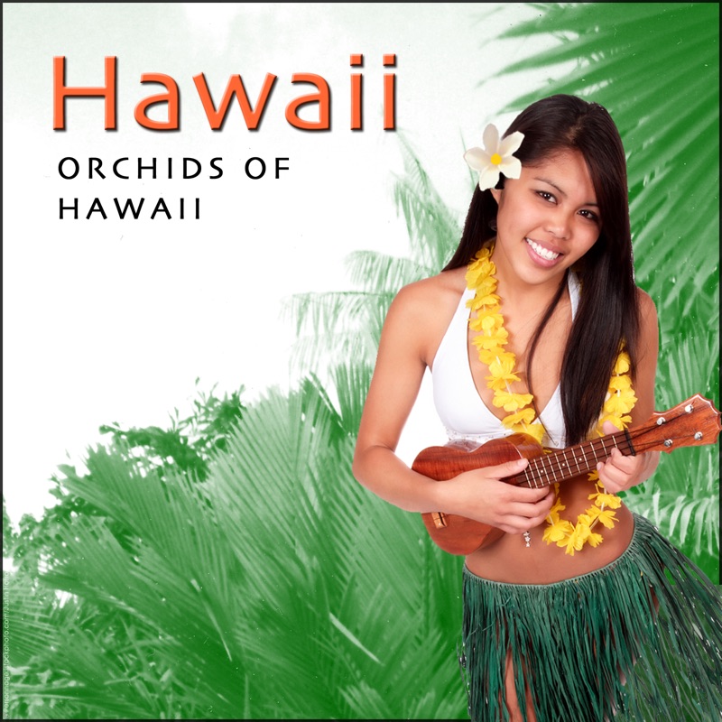Orchids of Hawaii Harry Kalapana Song Lyrics, Music Videos & Concerts