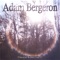 My Little Ray of Sunshine - Adam Bergeron lyrics