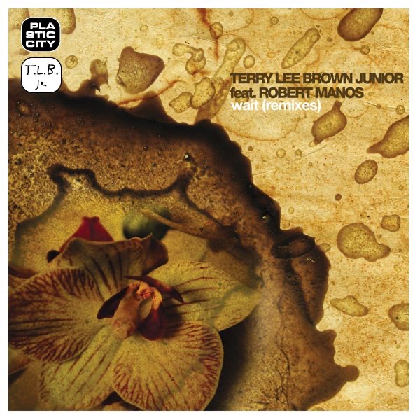 Обложка альбома «Wait (Remixes) [feat. Robert Manos]» — Terry Lee Brown Junior