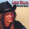 Blues Forever - Larry Miller