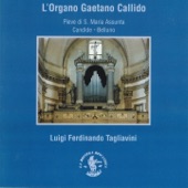 Sonata in Re maggiore (Kirk. 288) artwork