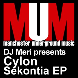 Pelican Island (Original) DJ Meri & Cylon