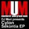 Pelican Island (Mark Holmes & OD Muzique Remix) - DJ Meri & Cylon lyrics