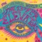 Splash 1 - 13th Floor Elevators lyrics