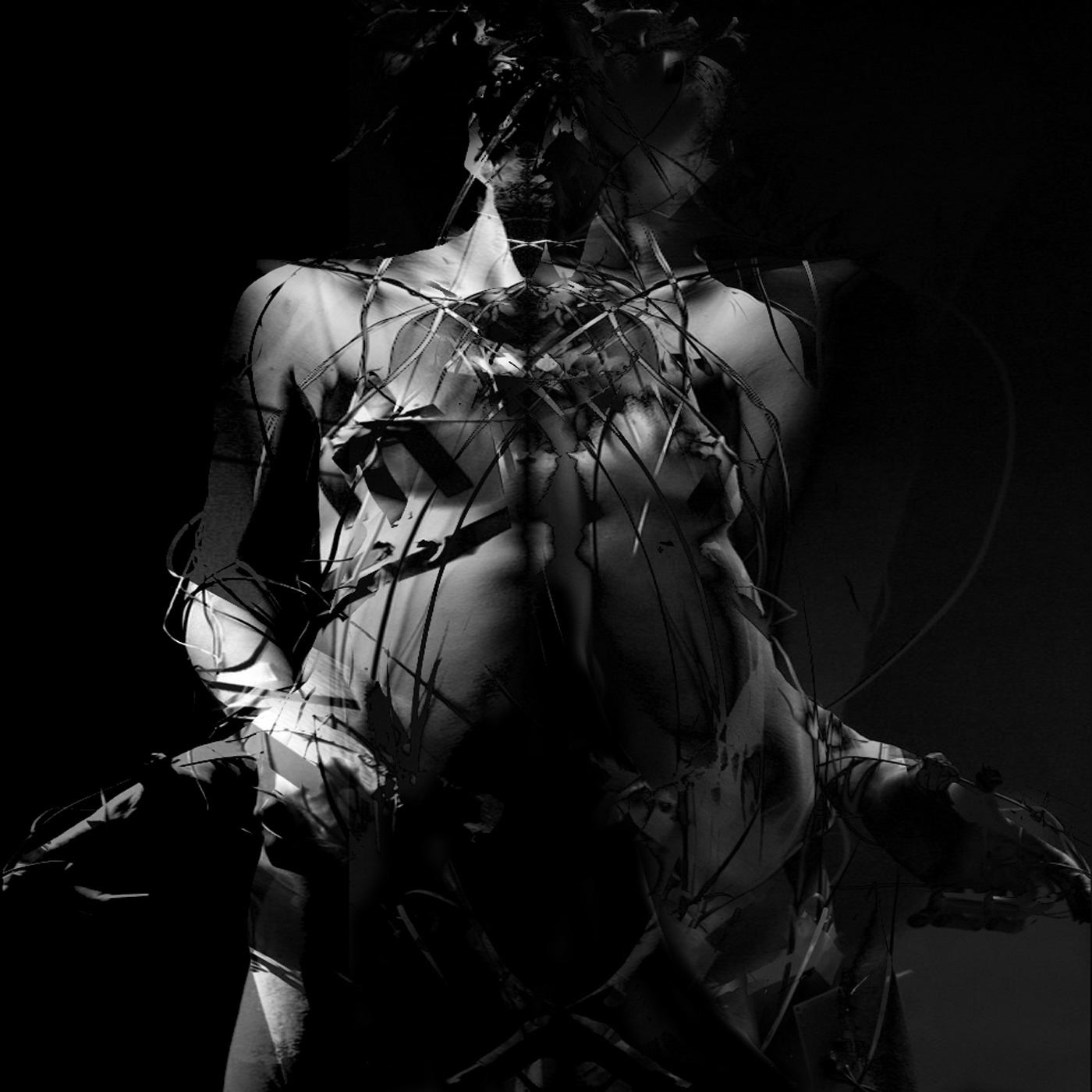 Bliss Torn from Emptiness