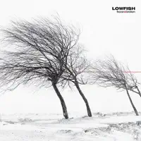 Little Mistakes — Lowfish