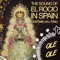 La Salve Rociera. Salve De El Rocio - Agrupacion Folklorica lyrics