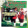 Der volkstümliche Hitmix (Bonus-Track) - Die Wildecker Herzbuben