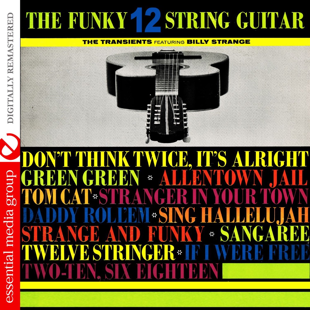 Обложка альбома «The Funky 12 String Guitar (Remastered)» — The Transients