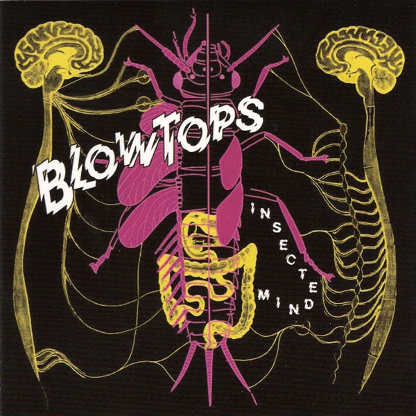 Insected Mind album cover