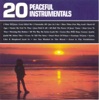 20 Peaceful Instrumentals