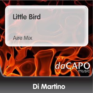 Little Bird (Aire Mix) - Single